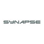 synapse inverter